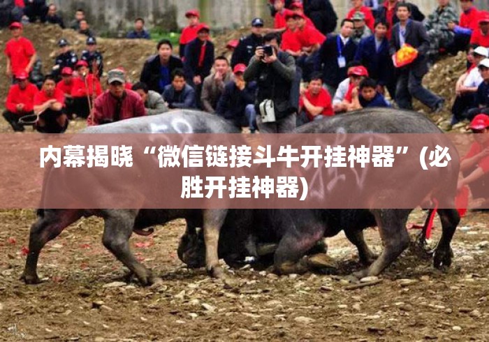 内幕揭晓“微信链接斗牛开挂神器”(必胜开挂神器)