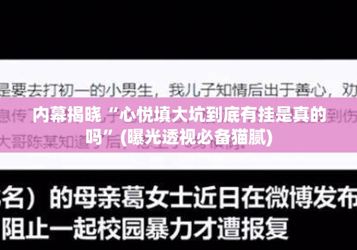 内幕揭晓“心悦填大坑到底有挂是真的吗”(曝光透视必备猫腻)