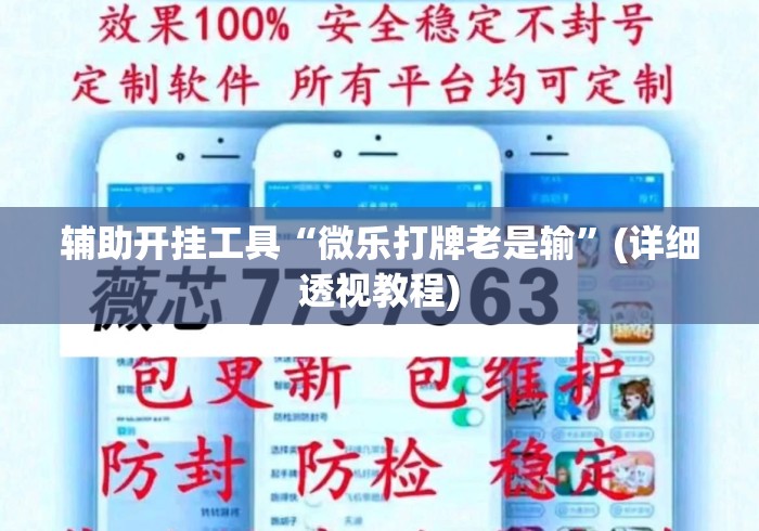 辅助开挂工具“微乐打牌老是输	”(详细透视教程)