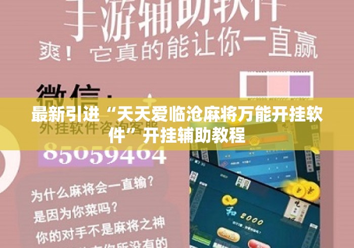 最新引进“天天爱临沧麻将万能开挂软件	”开挂辅助教程