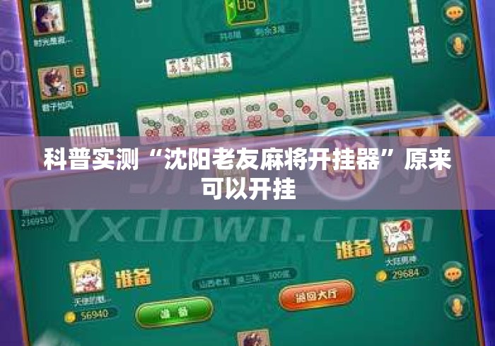 科普实测“沈阳老友麻将开挂器”原来可以开挂