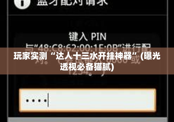 玩家实测“达人十三水开挂神器	”(曝光透视必备猫腻)