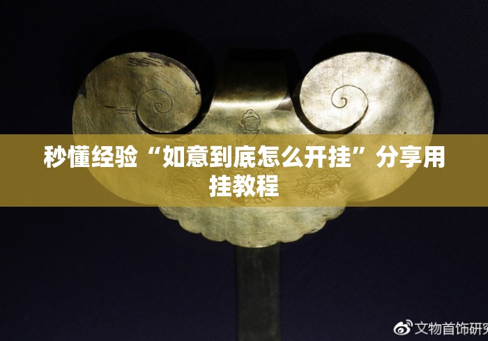 秒懂经验“如意到底怎么开挂”分享用挂教程