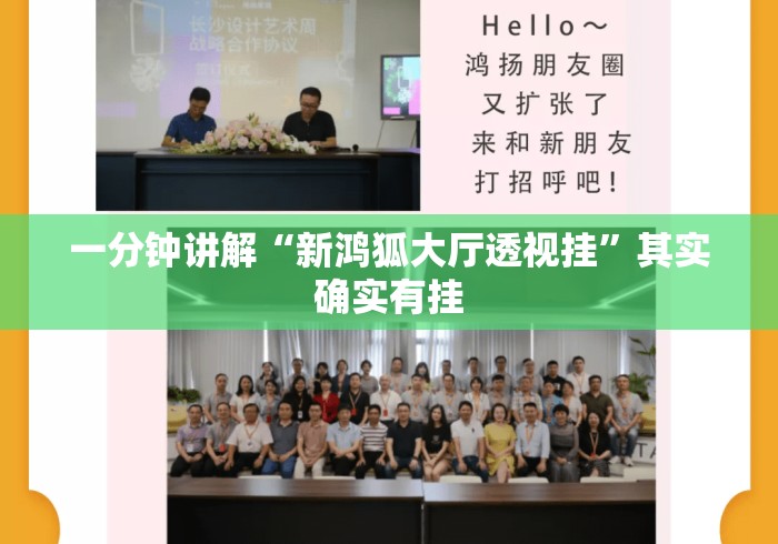 一分钟讲解“新鸿狐大厅透视挂”其实确实有挂