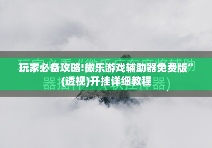 玩家必备攻略!微乐游戏辅助器免费版”(透视)开挂详细教程