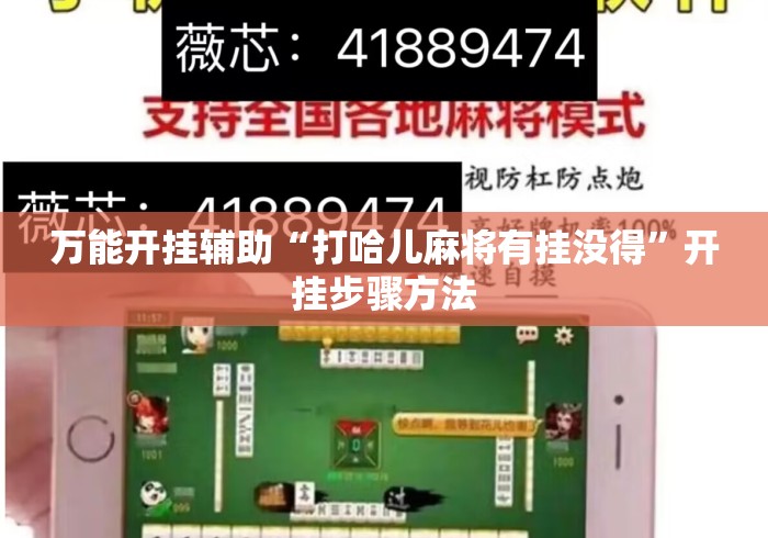 万能开挂辅助“打哈儿麻将有挂没得”开挂步骤方法