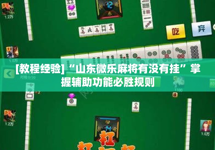 [教程经验]“山东微乐麻将有没有挂”掌握辅助功能必胜规则