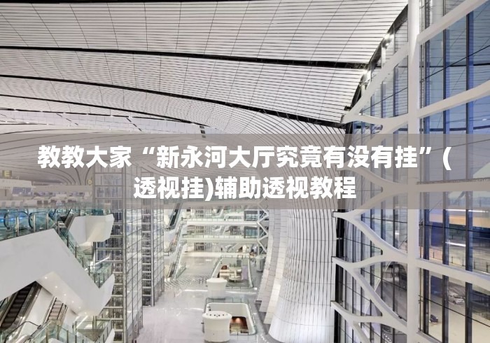 教教大家“新永河大厅究竟有没有挂”(透视挂)辅助透视教程