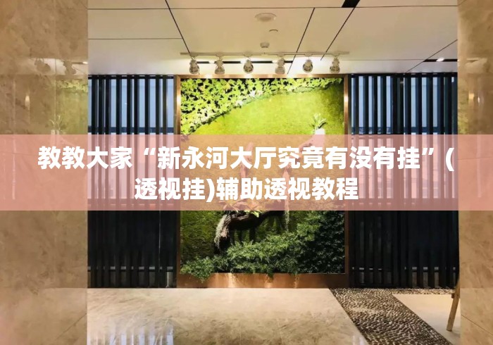 教教大家“新永河大厅究竟有没有挂”(透视挂)辅助透视教程