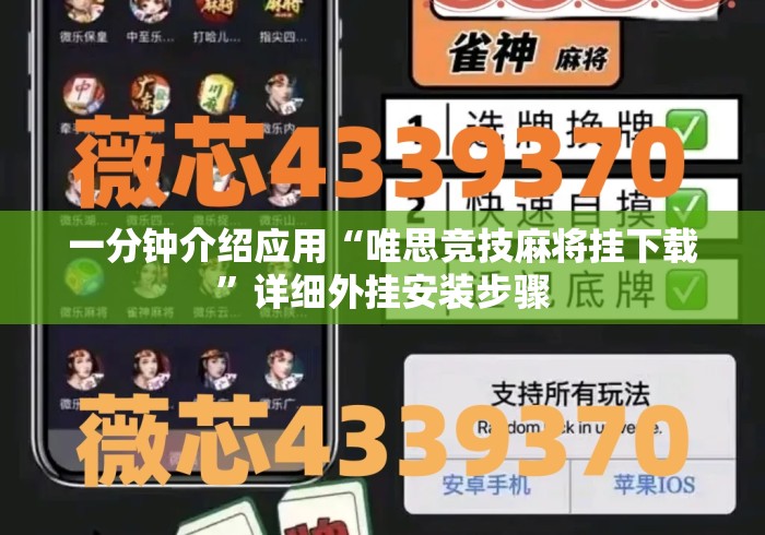 一分钟介绍应用“唯思竞技麻将挂下载”详细外挂安装步骤