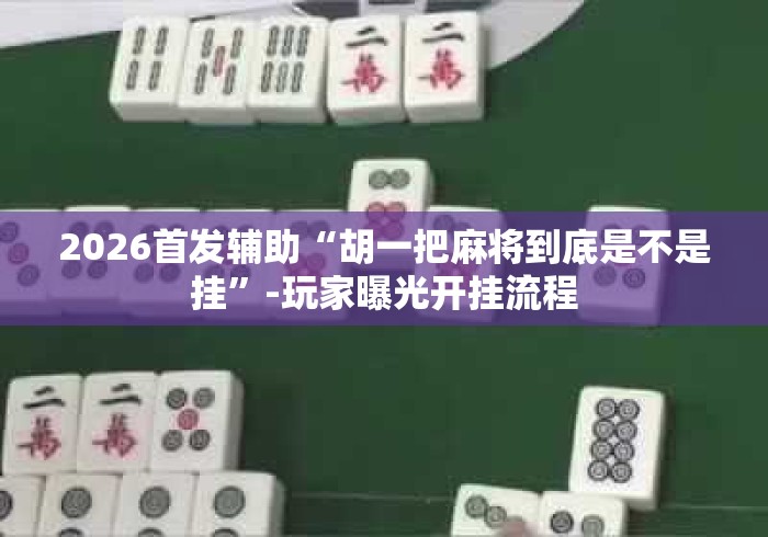 2026首发辅助“胡一把麻将到底是不是挂”-玩家曝光开挂流程