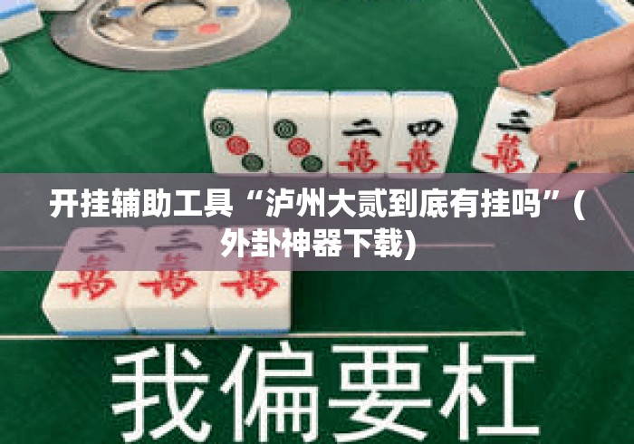 开挂辅助工具“泸州大贰到底有挂吗”(外卦神器下载)