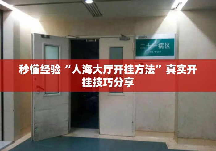秒懂经验“人海大厅开挂方法”真实开挂技巧分享