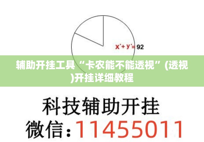 辅助开挂工具“卡农能不能透视”(透视)开挂详细教程
