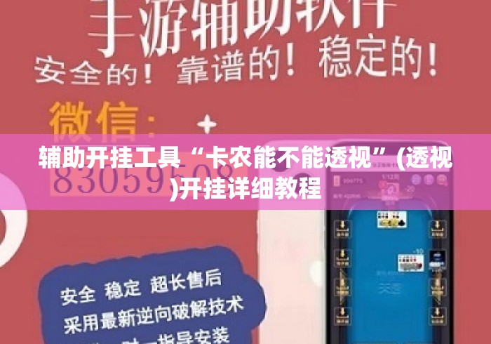 辅助开挂工具“卡农能不能透视	”(透视)开挂详细教程