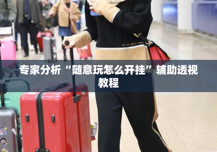 专家分析“随意玩怎么开挂”辅助透视教程