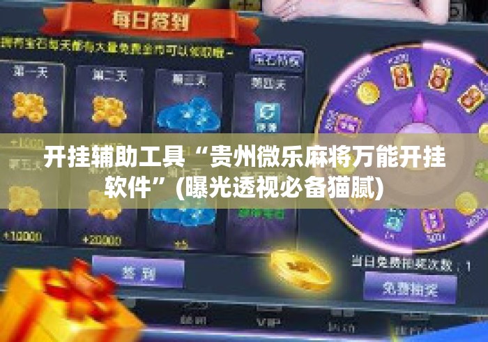 开挂辅助工具“贵州微乐麻将万能开挂软件”(曝光透视必备猫腻)