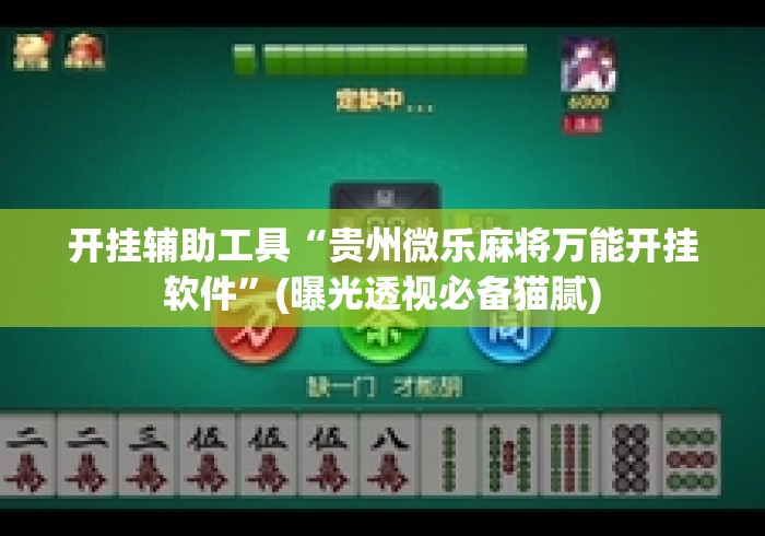 开挂辅助工具“贵州微乐麻将万能开挂软件	”(曝光透视必备猫腻)