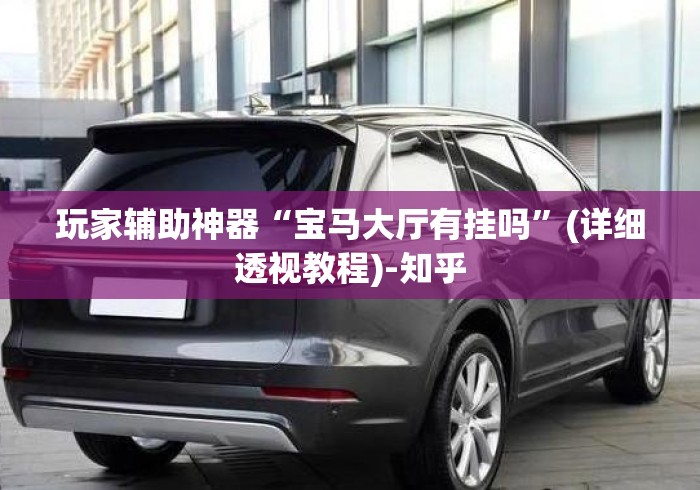 玩家辅助神器“宝马大厅有挂吗”(详细透视教程)-知乎