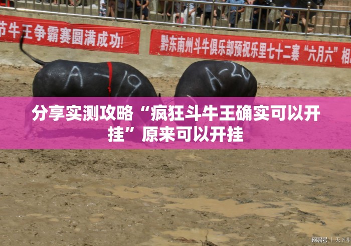 分享实测攻略“疯狂斗牛王确实可以开挂”原来可以开挂