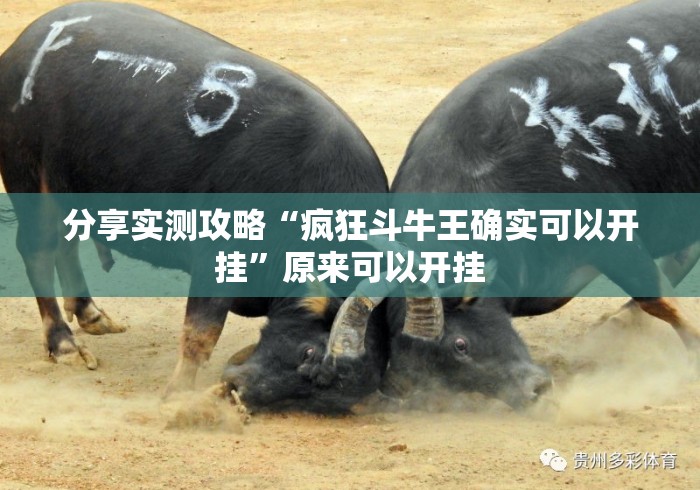 分享实测攻略“疯狂斗牛王确实可以开挂	”原来可以开挂