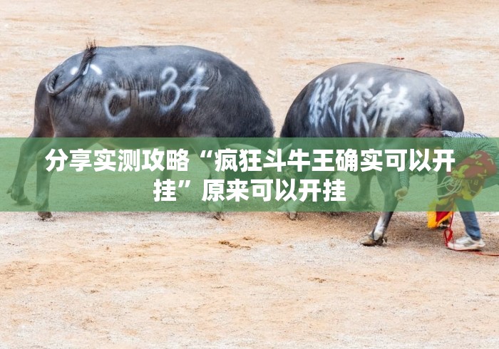 分享实测攻略“疯狂斗牛王确实可以开挂”原来可以开挂