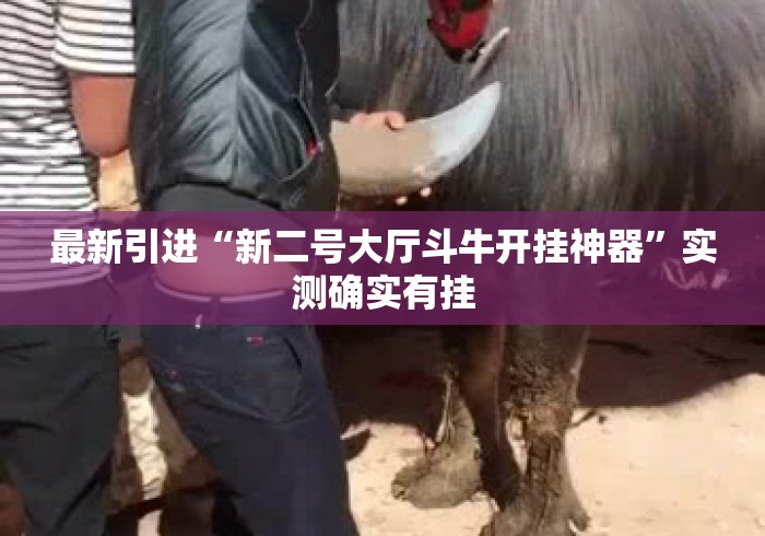 最新引进“新二号大厅斗牛开挂神器”实测确实有挂