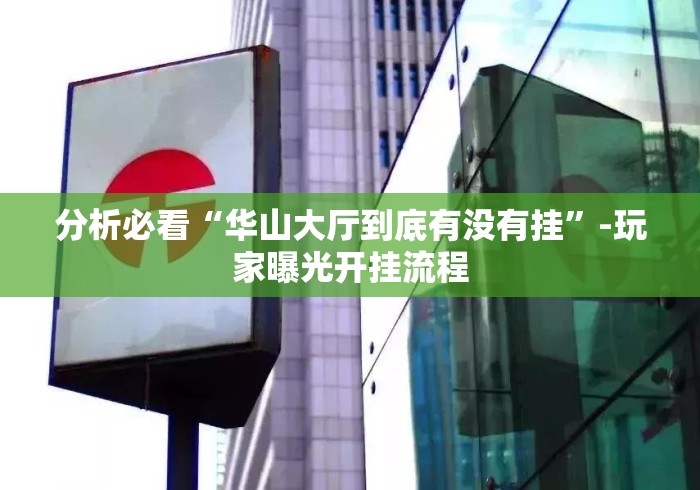 分析必看“华山大厅到底有没有挂	”-玩家曝光开挂流程