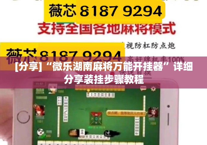 [分享]“微乐湖南麻将万能开挂器”详细分享装挂步骤教程
