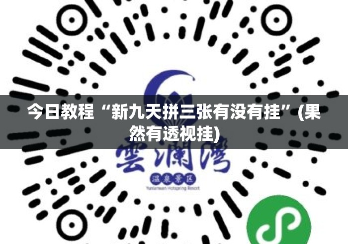 今日教程“新九天拼三张有没有挂”(果然有透视挂)