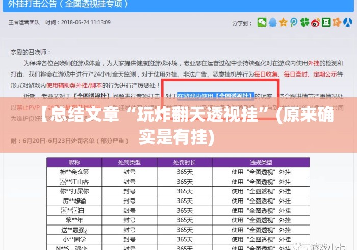 【总结文章“玩炸翻天透视挂”(原来确实是有挂) 