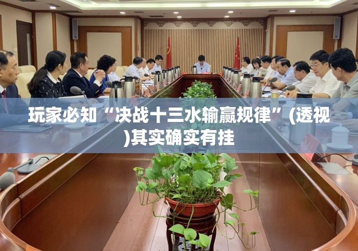玩家必知“决战十三水输赢规律”(透视)其实确实有挂
