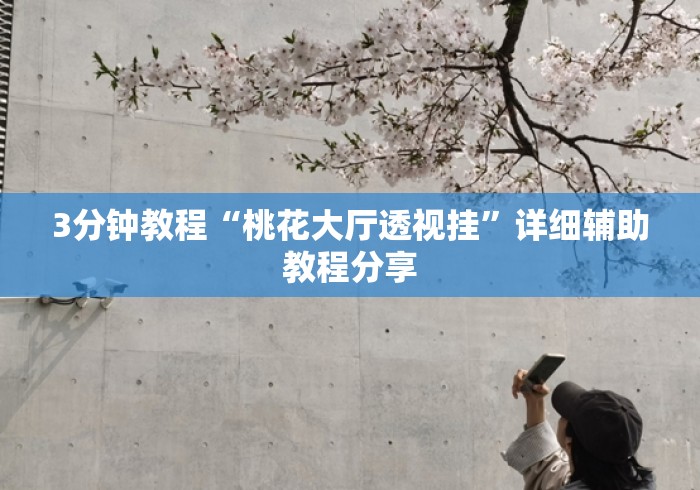3分钟教程“桃花大厅透视挂”详细辅助教程分享