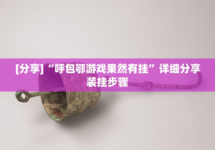 [分享]“呼包鄂游戏果然有挂”详细分享装挂步骤