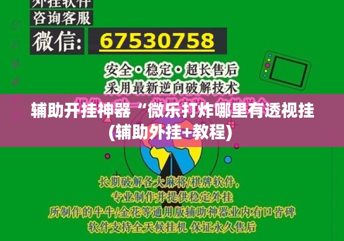 辅助开挂神器“微乐打炸哪里有透视挂(辅助外挂+教程) 辅助开挂神器“微乐打炸哪里有透视挂(辅助外挂+教程)