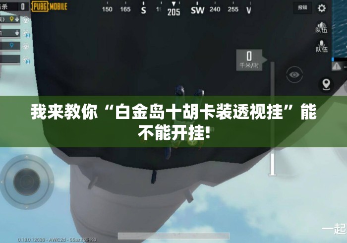 我来教你“白金岛十胡卡装透视挂”能不能开挂!