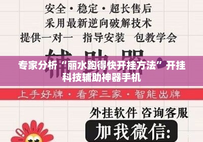 专家分析“丽水跑得快开挂方法”开挂科技辅助神器手机