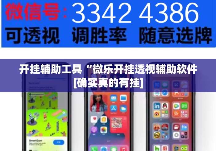 开挂辅助工具“微乐开挂透视辅助软件[确实真的有挂]