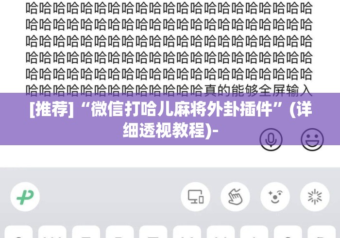 [推荐]“微信打哈儿麻将外卦插件”(详细透视教程)-