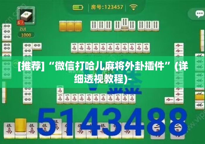 [推荐]“微信打哈儿麻将外卦插件	”(详细透视教程)-