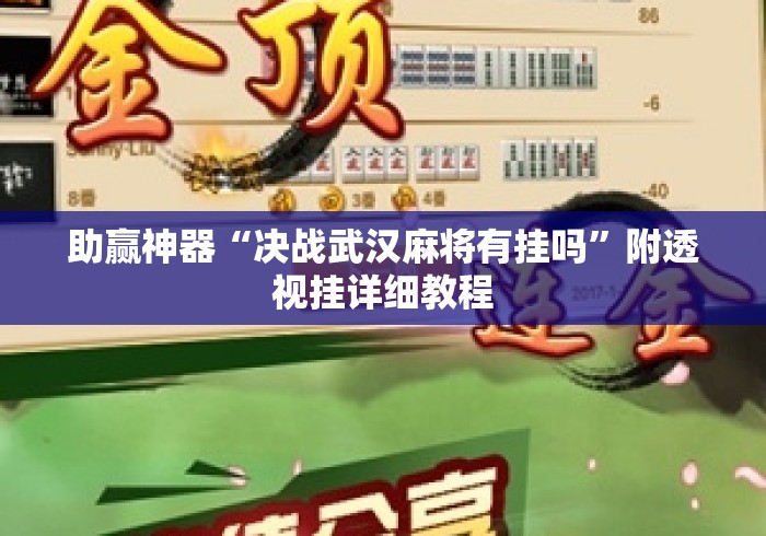 助赢神器“决战武汉麻将有挂吗”附透视挂详细教程