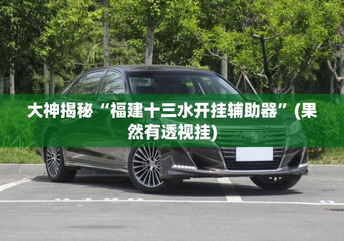 大神揭秘“福建十三水开挂辅助器”(果然有透视挂)