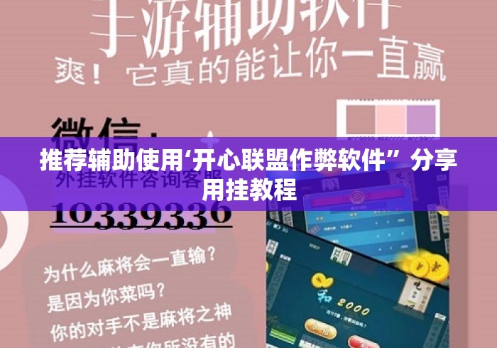 推荐辅助使用‘开心联盟作弊软件”分享用挂教程