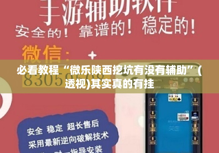 必看教程“微乐陕西挖坑有没有辅助”(透视)其实真的有挂