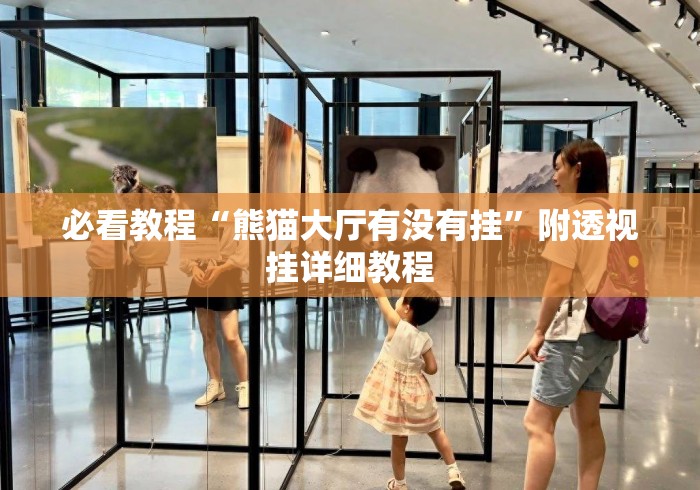 必看教程“熊猫大厅有没有挂”附透视挂详细教程