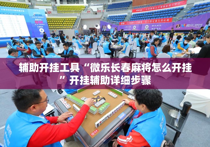 辅助开挂工具“微乐长春麻将怎么开挂	”开挂辅助详细步骤