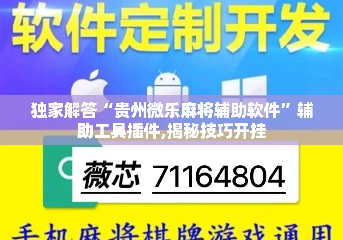 独家解答“贵州微乐麻将辅助软件	”辅助工具插件,揭秘技巧开挂