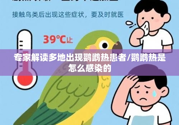 【独家发现】“旺旺梦想杰克透视免费”（透视挂）辅助神器教程