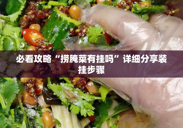 必看攻略“捞腌菜有挂吗”详细分享装挂步骤