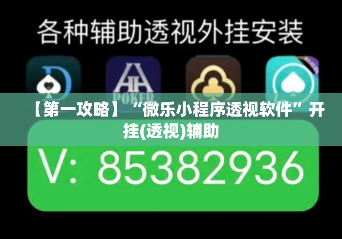 【第一攻略】“微乐小程序透视软件”开挂(透视)辅助